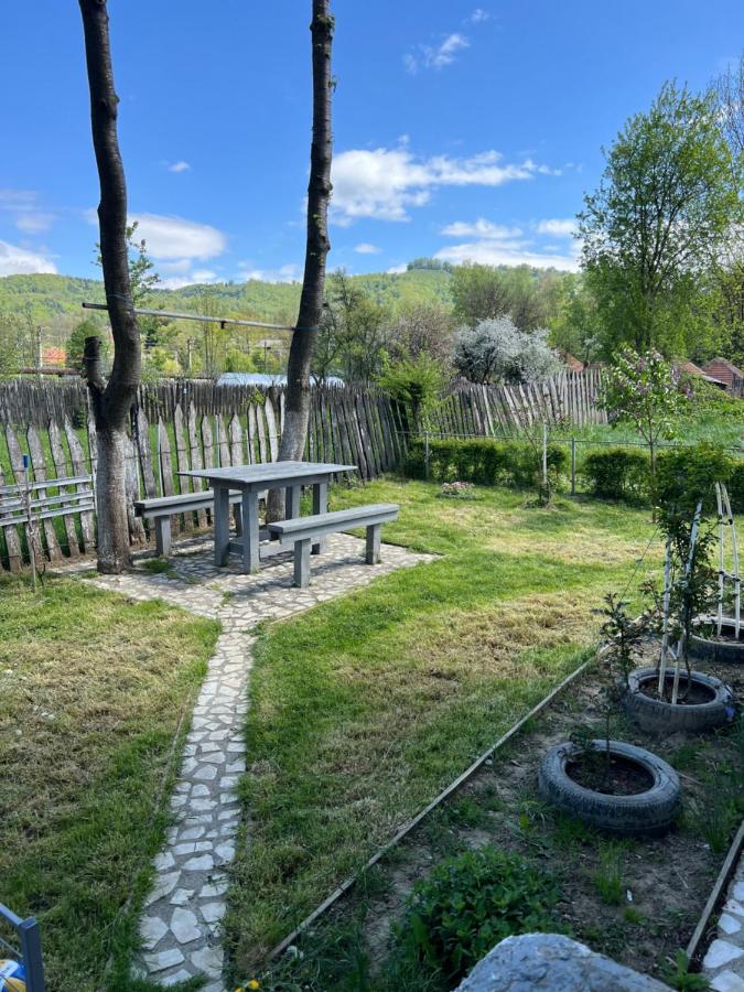 Green Garden Petroszany Zewnętrze zdjęcie